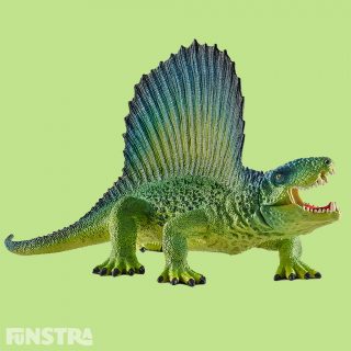 The Dimetrodon is often referred to as a dinosaur. However, it is a primeval reptile, a so-called Pelycosaurus. The sail on its back was made of skin and bones, helping it to warm itself quicker in the sun. If it wanted to cool down, it positioned the sail parallel to the sun's rays.