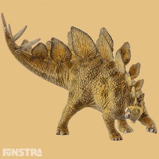 The huge, heavy Stegosaurus populated the earth more than 150 million years ago. It had large bony plates on its back, and sharp spikes on its powerful tail. The Stegosaurus was about as big as a coach: up to nine metres long and four metres high. For a long it was regarded as the least intelligent dinosaur, because its brain was hardly bigger than a ping-pong ball. It only weighed 80 grams with a body weight of 4.5 tonnes. Today, it is believed that it had a kind of 'second brain' in the base of its tail. Although it was a herbivore and subsisted on low growing ferns, its teeth were far too pointed for chewing – they were similar to small saw blades. It swallowed stones in order to shred the plants in its stomach.