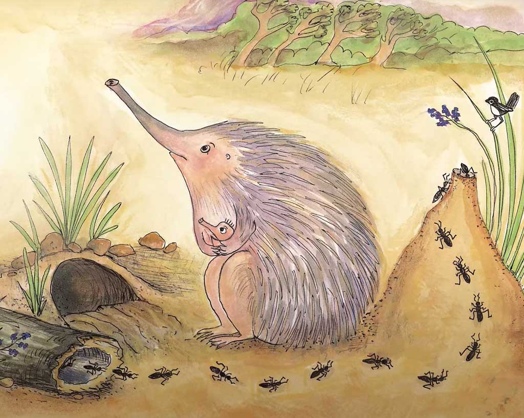 Echidna Songs for Kids to Sing Along with an Echidna Puppet or Plush Toy