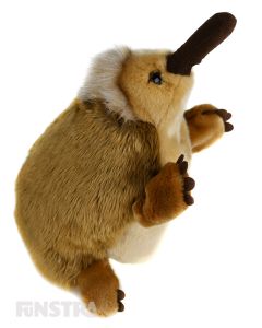The echidna hand puppet offers lots of fun and entertainment for children that love the spiny anteater as they tell stories and puppeteer this iconic Australian animal puppet.