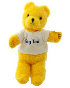 There's a bear in there! ...it's Big Ted from Play School.